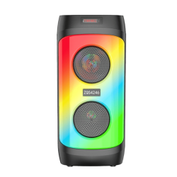 Enceinte Bluetooth - ZQS4246