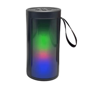 Haut Parleur Bluetooth LS-1001 RGB Noir