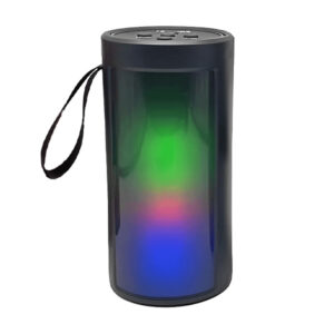 Haut Parleur Bluetooth LS-1001 RGB Noir