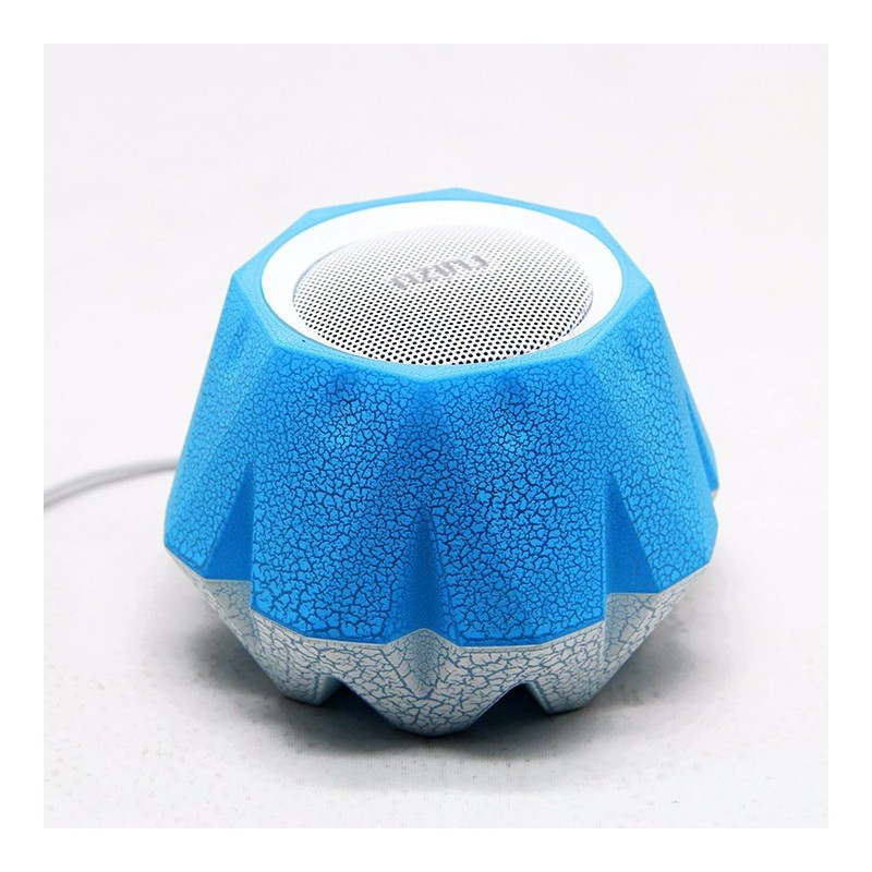 Mini Haut-Parleur USB Ruizu 3W