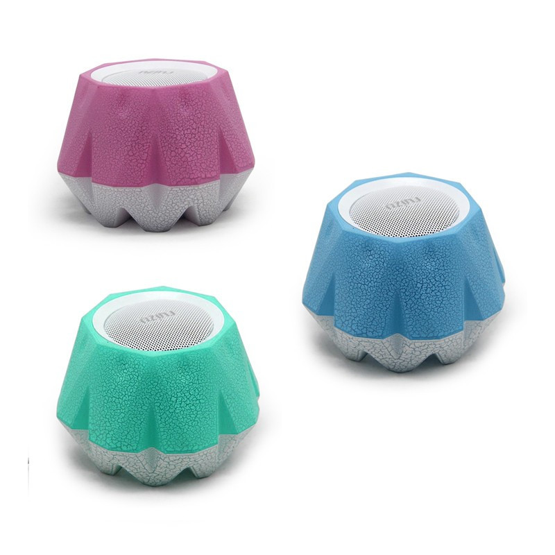 Mini Haut-Parleur USB Ruizu 3W